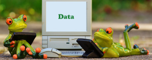 Data-Driven Journalism’s Secrets