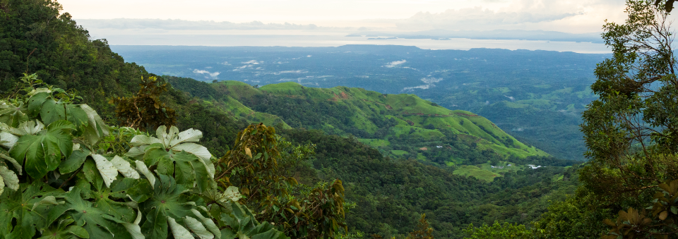 Costa Rica no es el mayor generador de CO2 del mundo, pero sus emisiones casi se duplicaron en tres décadas