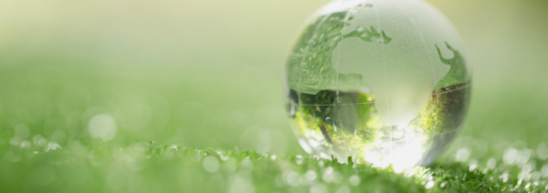 Reciclá y hacé abono orgánico en casa. ¡Así bajarás tus emisiones de gases de efecto invernadero!