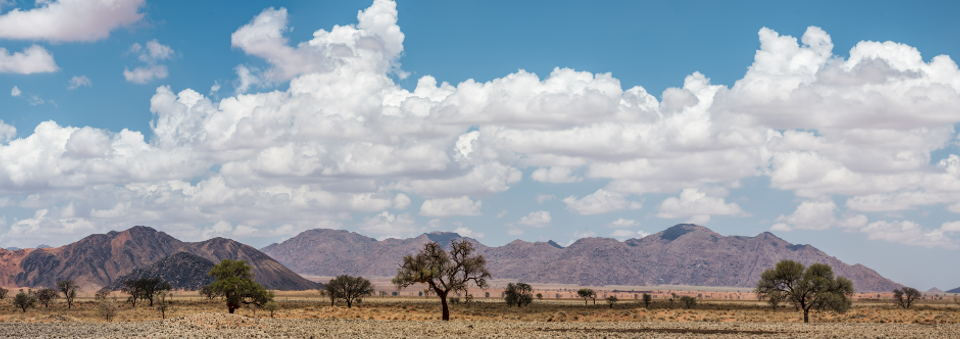 La tierra seca, sin agua: sequías extremas afectan el norte de México