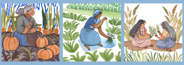 Mujeres zapotecas preservan la milpa ante desafíos del clima en Oaxaca, México