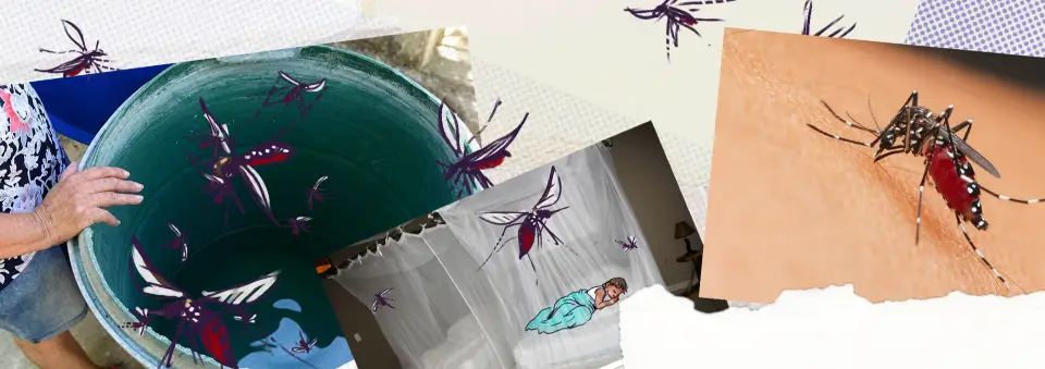 El Cambio climático determina el nuevo calendario del dengue en El Salvador